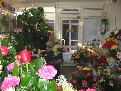 Оптово-розничный магазин цветов "Фламинго"