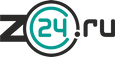 Z24, Интернет-магазин автозапчастей