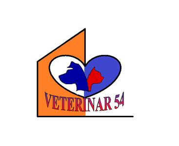 "Veterinar 54"