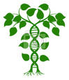 ДНК  Студия здоровья