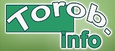 Torob.Info, Интернет-магазин