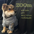 Магазин для животных ZOOm