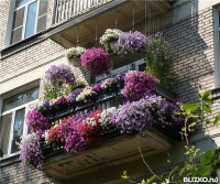 Кашпо для цветов на балкон