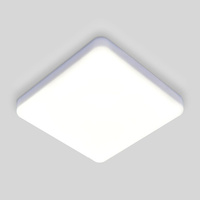 Стационарный светодиодный светильник Elektrostandard DLS043