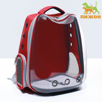 Рюкзак для переноски 'Котик', прозрачный, 32 х 28 х 42 см, красный