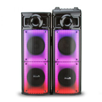 Акустическая система Eltronic 30-24 Crazy Box 1600 160+160Вт с двумя микрофонами