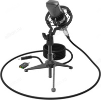 Микрофон RITMIX RDM-160 Black NNM