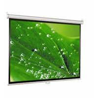 Экран ViewScreen Scroll (1:1) 160*160 MW WSC-1104 Viewscreen