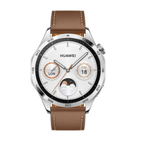 Умные часы Huawei Watch GT 4, 46 мм, Bluetooth, серебристый/коричневый HUAWEI
