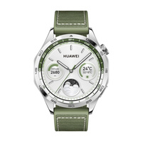 Умные часы Huawei Watch GT 4, 46 мм, Bluetooth, серебристый/зеленый HUAWEI