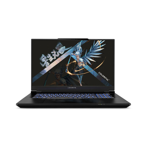 Игровой ноутбук Colorful Star X17 PRO MAX, 17.3", 32 ГБ/1 ТБ, i9-14900HX, RTX 4090, черный, английская раскладка