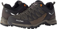 Походная обувь Mountain Trainer Lite GTX SALEWA, цвет Wallnut/Fluo Orange